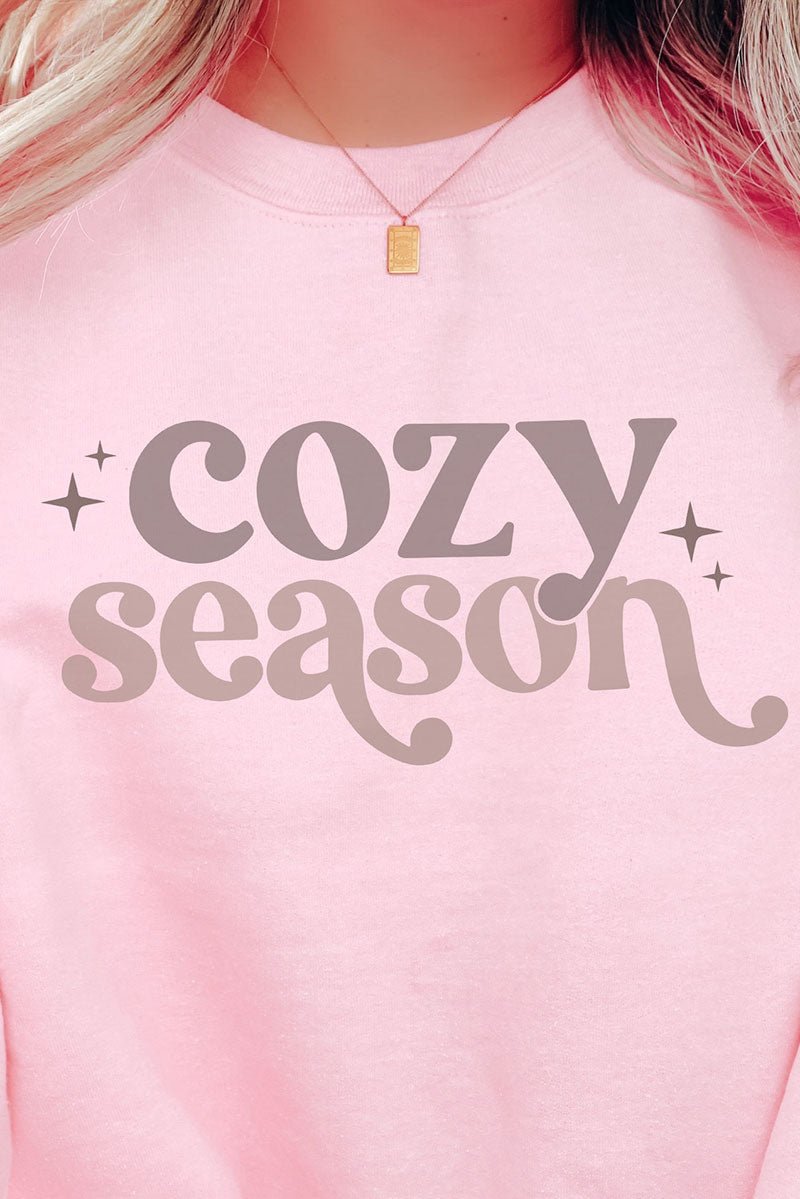 Cozy Season Heavyweight Unisex Crew Neck Sweatshirt for Everyday Casual Wear
