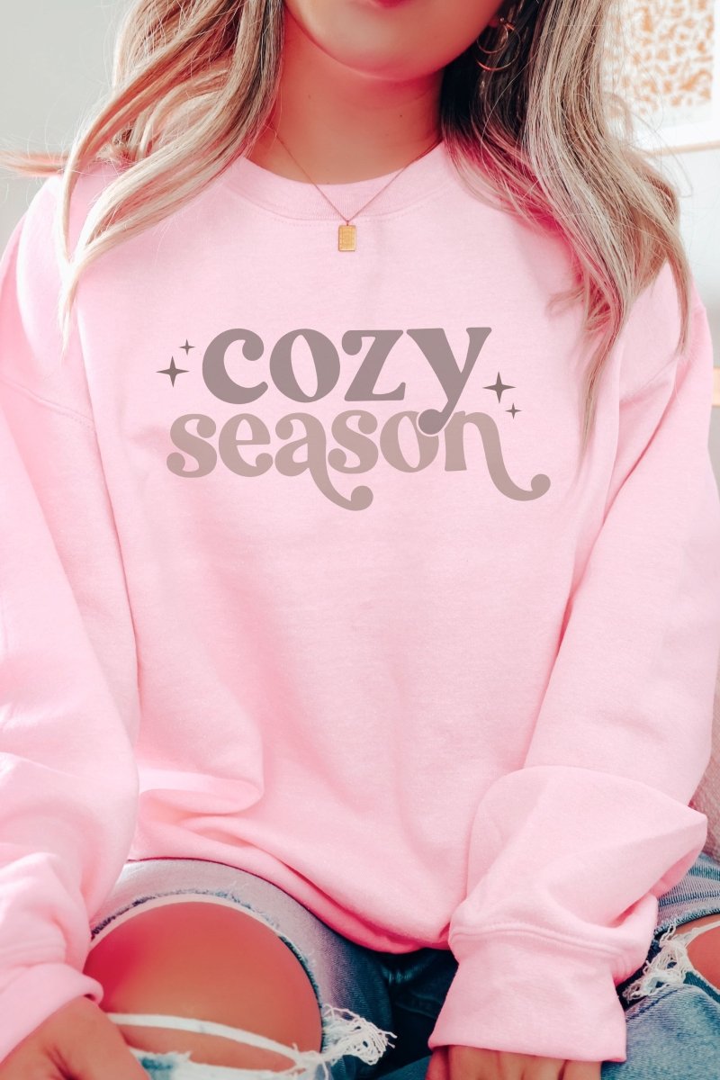 Cozy Season Heavyweight Unisex Crew Neck Sweatshirt for Everyday Casual Wear